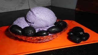 Indian Blue Berry Ice CreamJambalacji Ice cream Recipe SUMMER SPECIAL [upl. by Ahseia]