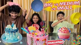 LARGE Vs MEDIUM Vs SMALL FOOD CHALLENGE 😆 FUNNY FOOD CHALLENGE 🤣 MINSHAS WORLD [upl. by Kremer]