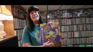 The Orgone Box Confectionery 1996  Album Appreciation  Jeremy Morris [upl. by Bortman70]