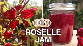 How To Make Easiest Rosella Jam Jamaican Sorrel  Plant Update [upl. by Battat]