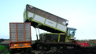 HD Kettenhäcksler Einsatz in Ostfriesland 2012 [upl. by Maroj]