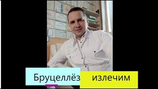 Бруцеллёз Диагностика и лечение с помощью технологий биорезонанса [upl. by Theodor]