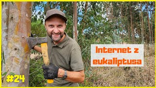 Internet z EUKALIPTUSA 🐨 [upl. by Rick]