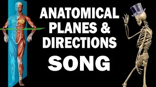 ANATOMICAL PLANES AND DIRECTIONS SONG [upl. by Trawets12]