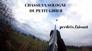 CHASSE EN SOLOGNE DU PETIT GIBIER PERDRIX FAISANT [upl. by Joyce]