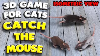 3D game for cats  CATCH THE MOUSE isometric view [upl. by Asilehc]