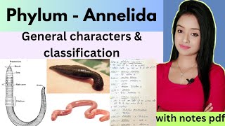 phylumAnnelida L1phylum annelida bsc 1st year zoology annelida general characters amp classify [upl. by Anelys]