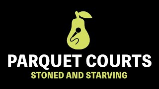 Parquet Courts  Stoned and Starving Karaoke [upl. by Pratt]