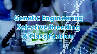 AQA Triple amp Dual GCSE Biology Revision  Genetic Engineering Selective Breeding amp Classification [upl. by Notlrac]