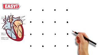 Cross section Human Heart Labelled Diagram drawing  Turns into Human Heart Diagram Drawing class 10 [upl. by Ettesus]