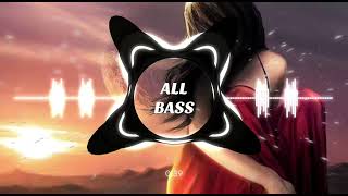 Heeriye Heeriye Slowed Bass   BASS BOOSTED   ultra deep bass karan BaSs  Love songs [upl. by Camroc]