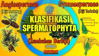 Angiospermae dan Gymnospermae Perbedaan  Materi Lanjutan Biologi Klasifikasi Spermatophyta [upl. by Dara704]