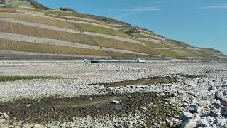 Rhein  Niedrigwasser Oktober 2018 Bingen [upl. by Aracahs96]