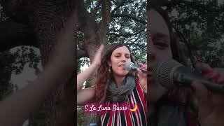 E La🌙 bussó con jazz 🎷e cicale❤️elalunabusso loredanabertè musica musicaitaliana acousticcover [upl. by Rives]