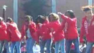 UF Deltas Stroll [upl. by Dinsdale]