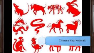 Chinese Year Animals [upl. by Anytsyrk823]