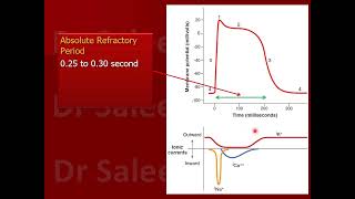 Refractory period in cardiac muscle fiber [upl. by Dj]