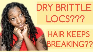 HOW TO NATURALLY MOISTURIZE DRY LOCS when oils and treatments dont work STOPPING BREAKAGE [upl. by Slifka205]