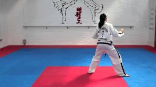 Hwa Rang Tul and basic movements for grading to 1st kup [upl. by Adnoloy]