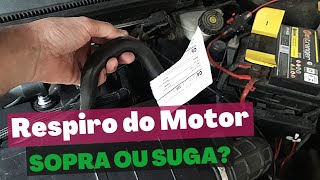 Mangueira de Ventilação do Fiesta Zetec Rocam Qual o Correto Sugar ou Soprar [upl. by Ardy]