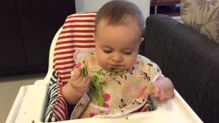 6 MONTH OLD BABY EATING BROCCOLI  BLW with EMMI [upl. by Merc]