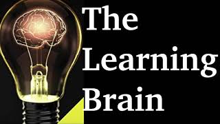 The Learning Brain  The Great Courses  24 halfhour lectures  12 hours and 23 minutes [upl. by Favian]