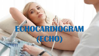 Echocardiogram Echo  Types Indications Patient Preparation Procedure Risks amp Complications [upl. by Nikolos]