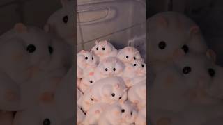 Hamster so adorable and soft☺️ squishy slime squishy hamsters diycraft stressfree [upl. by Edris214]