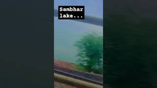 Sambhar lake trendingshorts trending [upl. by Anidnamra]