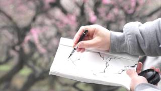 Painting Chinese Plum Blossoms with Henry Li 01 [upl. by Sucramrej]