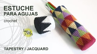 Tutorial Estuche Porta Agujas Tapestry o Jaquard Crochet o Ganchillo [upl. by Merell]