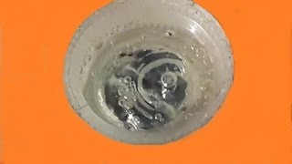 MERCURY reaction with NITRIC ACID [upl. by Rolo]