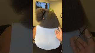 The trimming process is so satisfying 🤩shorts hairstyles naturalhair haircut fypシ゚viral [upl. by Adrianna]