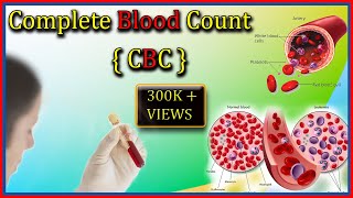 CBC Blood Test  Complete Blood Count Test By Harib Diagnostic Lab [upl. by Adam]