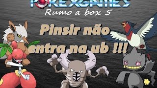 Rumo a box 5 16 O pinsir irritante e os catchs easys [upl. by Elfie]