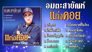 อมตะ สายัณห์ สัญญา ชุด แก่งคอย Official Playlist [upl. by Martz]