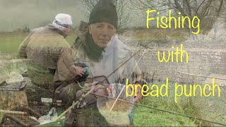 How to fish with bread punch  Reading amp District Angling Association [upl. by Yong]