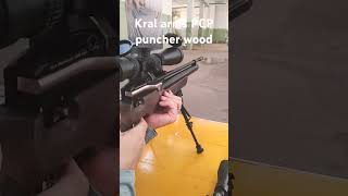 KRAL ARMS PCP Puncher wood  Field target tiroesportivobrasil carabinapcp [upl. by Nady]