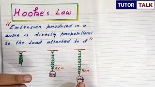 Hookss Law  Class 11 Physics [upl. by Nadean258]