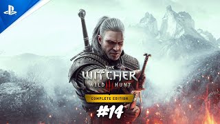 Un sorceleur en vadrouille à Velen  The Witcher 3 Wild Hunt PS5FR [upl. by Leiruh]