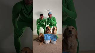 Two petfluencers make a dog food ad AdventuringWithNala [upl. by Adnarahs]