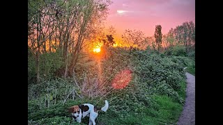 Beeston Marina to Attenborough Nature Reserve Walking Tour 4k 50 Min [upl. by Giles]