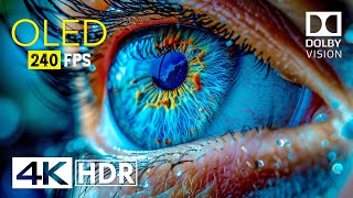 Mind Blowing OLED Dolby Vision  4K HDR 240 fps [upl. by Nilrah881]