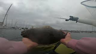 Fun Fishing for Halibut with Live Smelt  Float Tube Fishing San Diego CA [upl. by Aicad161]