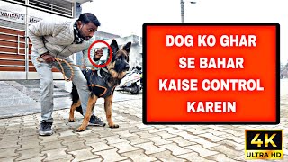 German shepherd outdoor training for better control Dog training in hindi [upl. by Ecraep238]