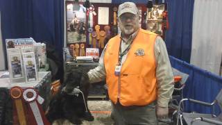 HuntEmUpcom  The Boykin Spaniel from Pheasant Fest [upl. by Ayotan]