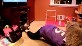 Ravens fan goes nuts Part 3 [upl. by Volnay334]