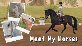 Meet The Horses  SSO RRP  Bethany Mountainwood [upl. by Arella]