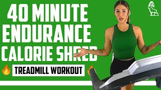 ENDURANCE CALORIE SHRED  40 MIN Treadmill Workout [upl. by Mera]