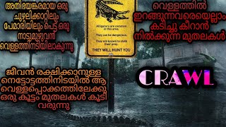 CRAWL Movie Malayalam Explanation moviesteller3924 Movie Explained In Malayalam [upl. by Akinirt883]